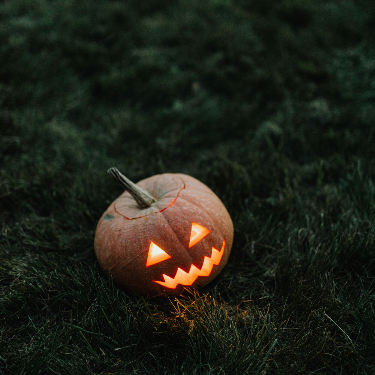 Halloween   Decorations