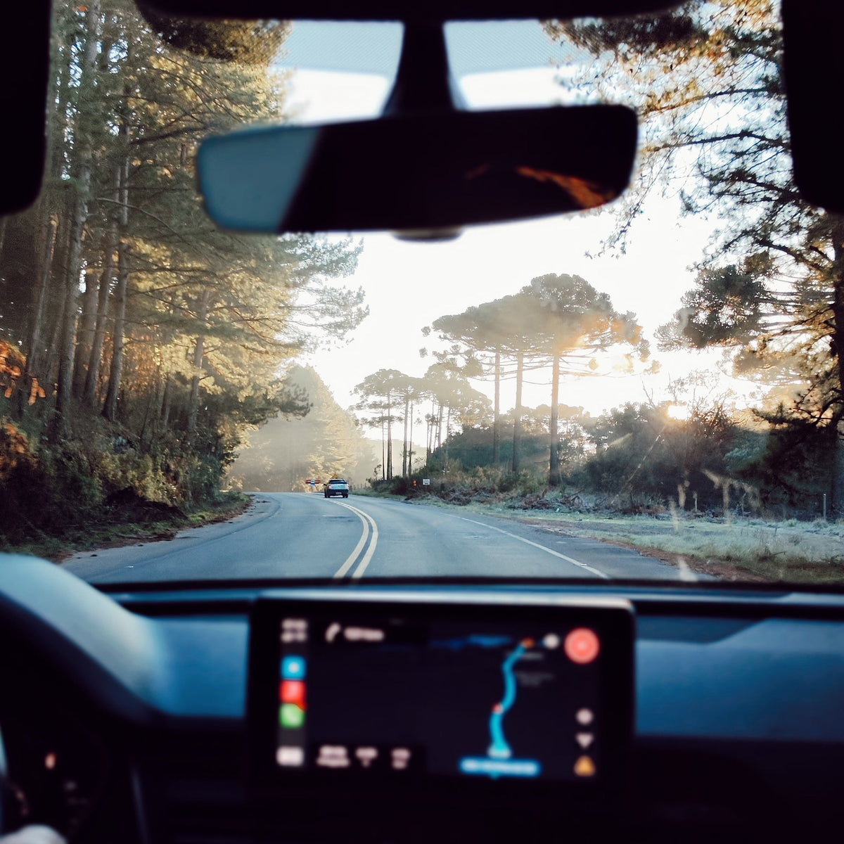 Car Electronics